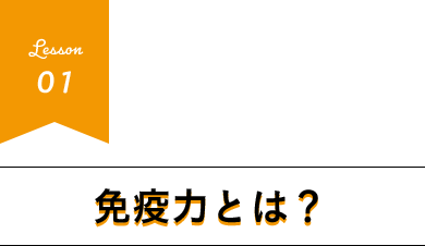 免疫力とは？