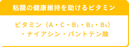 
							粘膜の健康維持を助けるビタミン
ビタミン（A・C・B1・B2・B<sub>6</sub>）・ナイアシン・パントテン酸
