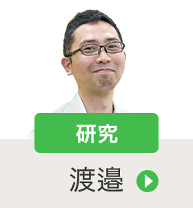 研究