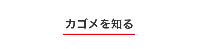 カゴメを知る