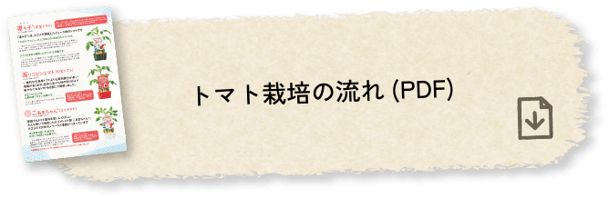 トマト栽培の流れ(PDF)