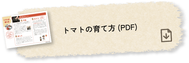 トマトの育て方(PDF)