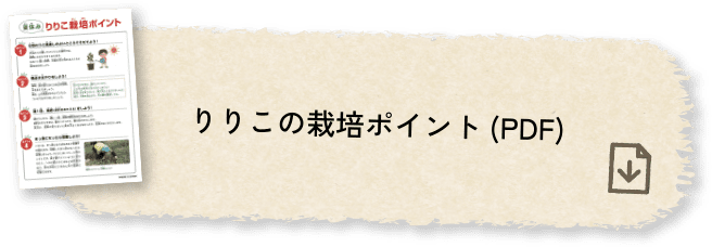 りりこの栽培ポイント(PDF)