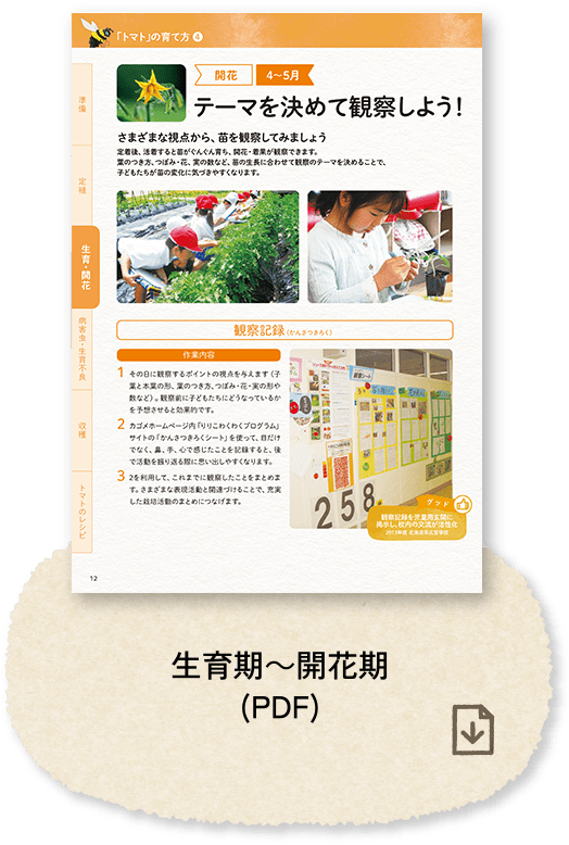 生育期～開花期(PDF)