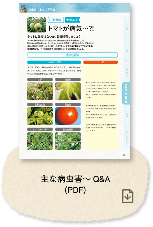 主な病虫害～Q&A(PDF)