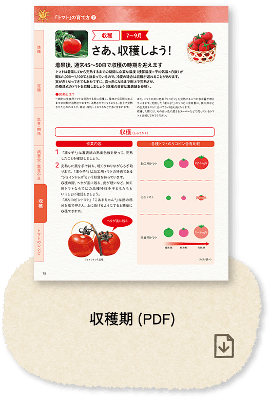 収穫期(PDF)