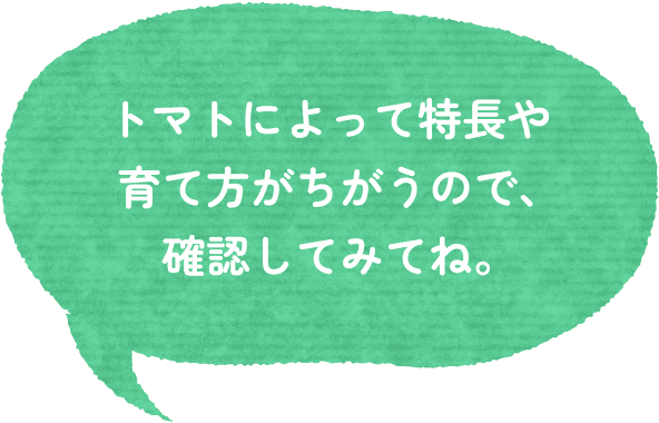 トマトによって特長や育て方がちがうので、確認してみてね。