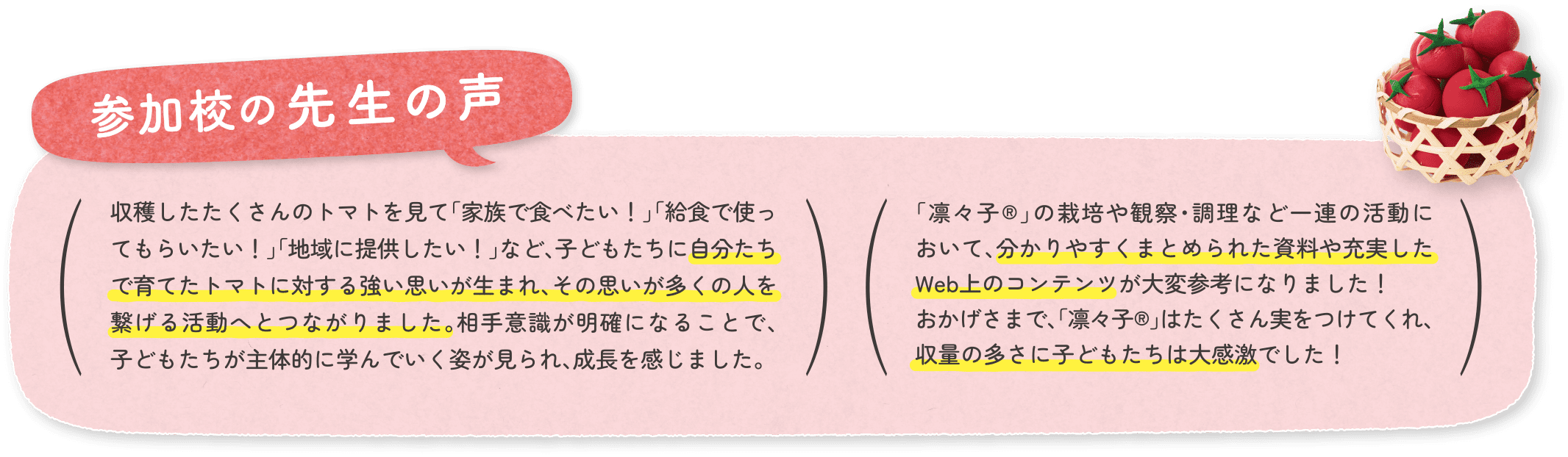 参加校の先生の声