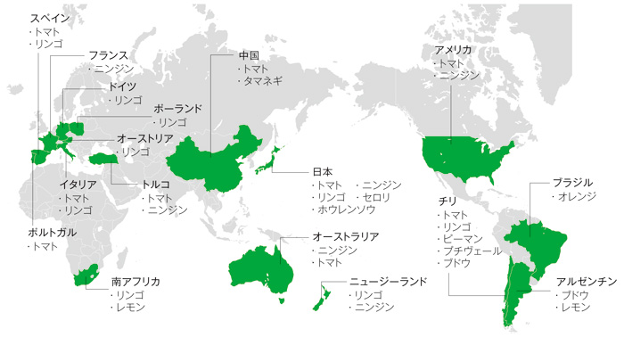 カゴメグループの原料の主な調達先