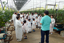 和歌山加太菜園