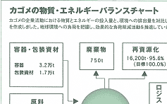 カゴメの物質・エネルギーバランスチャート