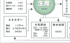 カゴメの物質・エネルギーバランスチャート