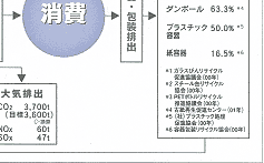 カゴメの物質・エネルギーバランスチャート