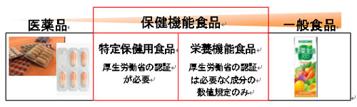 栄養機能食品とは