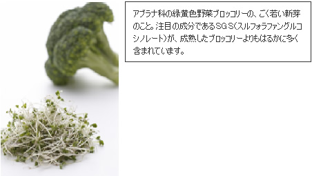 アブラナ科の緑黄色野菜ブロッコリーの、ごく若い新芽のこと。注目の成分であるＳＧＳ（スルフォラファングルコシノレート）が、成熟したブロッコリーよりもはるかに多く含まれています。