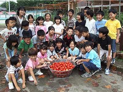 「凛々子」収穫時の様子