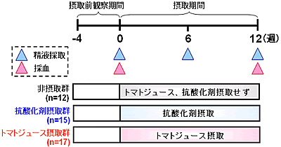 図1．試験スケジュール