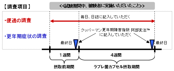 図1．試験スケジュール