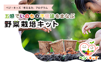 五感でいのちの不思議をまなぶ 野菜栽培キット
