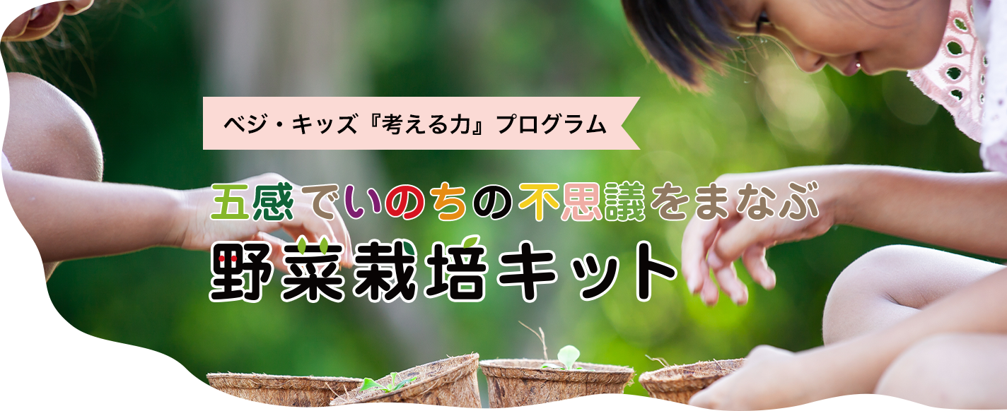 ペジキッズ「考える力」プログラム 五感でいのちの不思議をまなぶ 野菜栽培キット