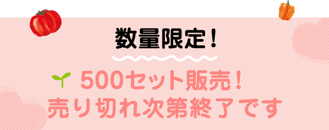 数量限定！500セット販売！売り切れ次第終了です