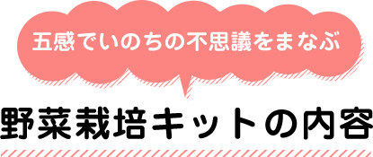 野菜栽培キットの内容