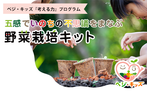 五感でいのちの不思議をまなぶ 野菜栽培キット