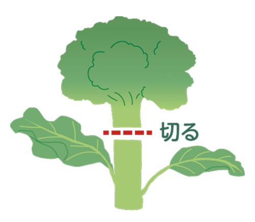 収穫 収穫