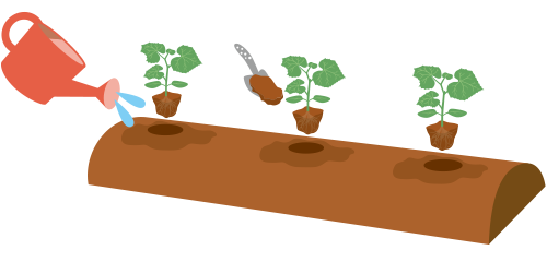 植え付け 植え付け