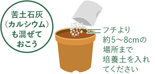 植え付け 植え付け