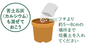 植え付け