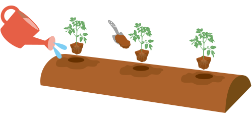 植え付け 植え付け