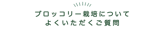 よくあるご質問