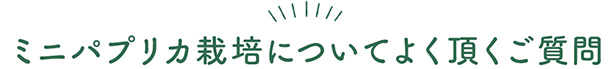 よくあるご質問