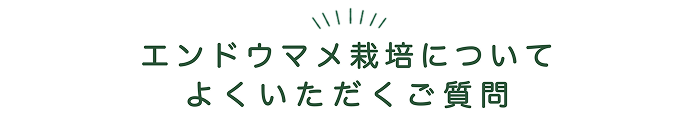よくあるご質問