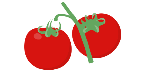 トマト栽培についてよく頂くご質問