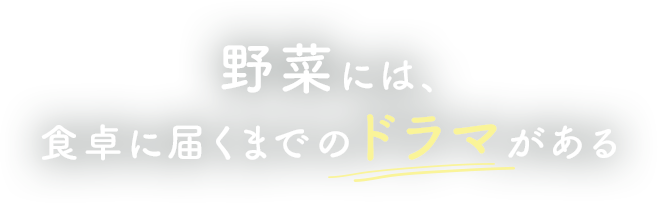 野菜には、食卓に届くまでのドラマがある