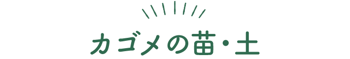 カゴメの苗土