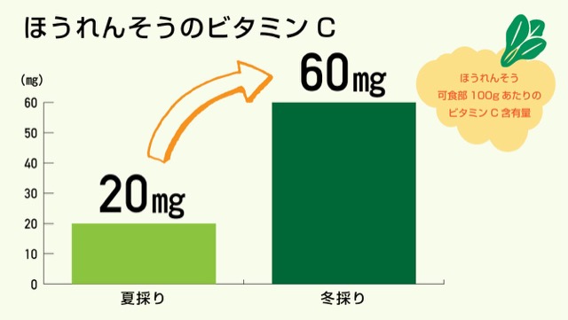 旬の野菜と、旬以外の野菜の栄養価の違い