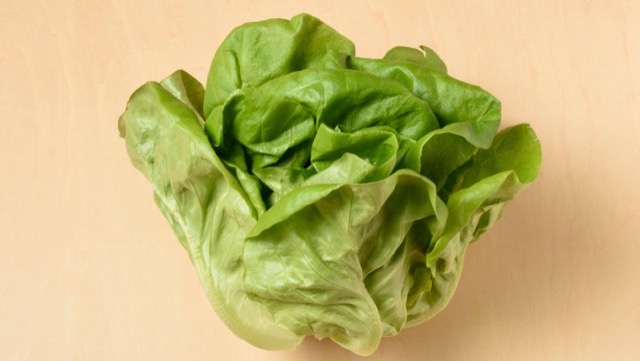 サラダ菜はレタスよりも葉に厚みがありやわらかな食感