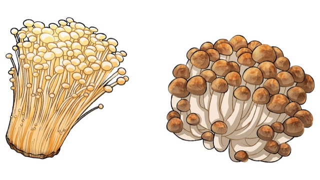 ［えのきとしめじ、どう違う］産地や生産量、栄養は？