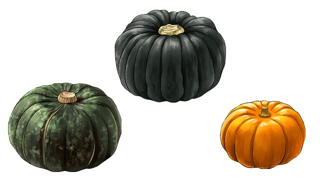 かぼちゃの栄養！種類ごとの違いと、種に含まれる栄養も紹介