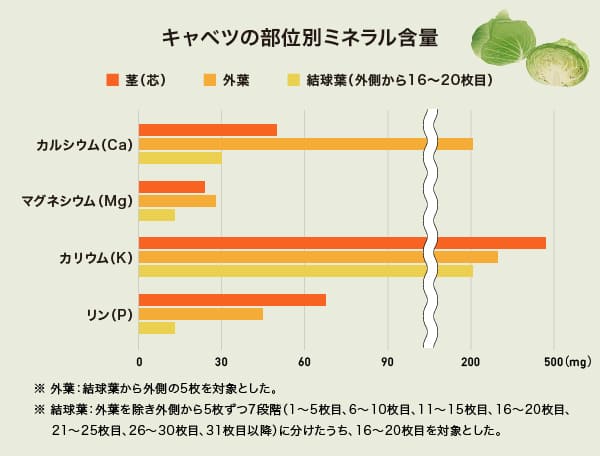 キャベツの部位別ミネラル含量のグラフ