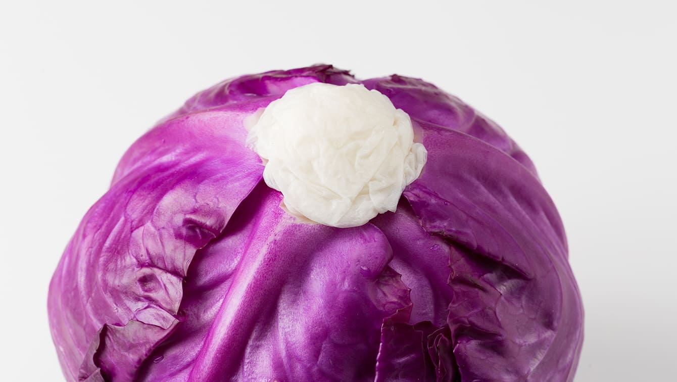 紫キャベツを丸ごと保存する場合1：芯を包丁で切り取って、芯の部分に湿らせたキッチンペーパーを詰める