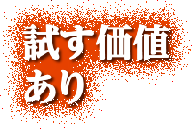 試す価値あり