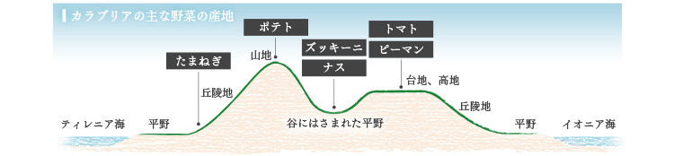 カラブリアの主な野菜の産地