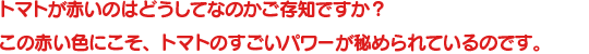 トマトが赤いのはどうしてなのかご存知ですか？この赤い色にこそ、トマトのすごいパワーが秘められているのです。