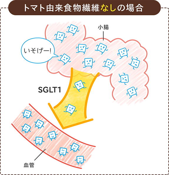 トマト由来食物繊維なしの場合