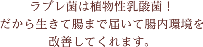 ラブレ菌は植物性乳酸菌！だから生きて腸まで届いて腸内環境を改善してくれます。