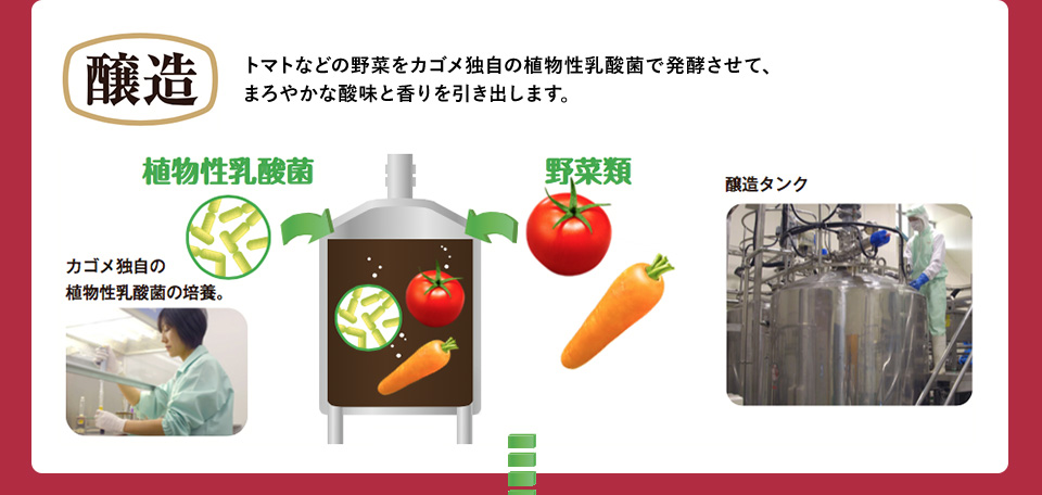 【醸造】トマトなどの野菜をカゴメ独自の植物性乳酸菌で発酵させて、まろやかな酸味と香りを引き出します。